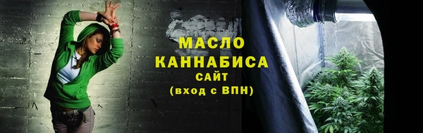 индика Медвежьегорск