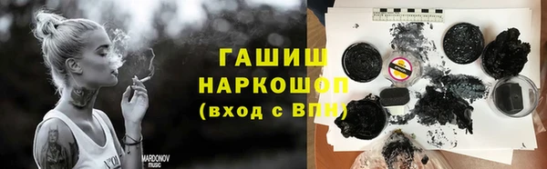 индика Медвежьегорск