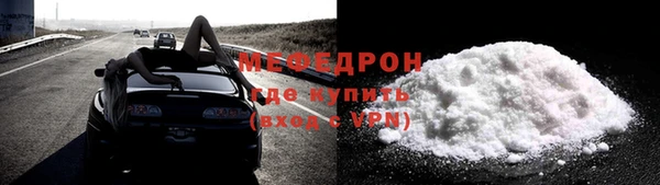 индика Медвежьегорск