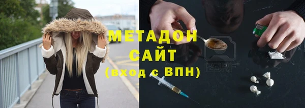 индика Медвежьегорск