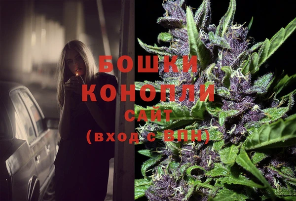 индика Медвежьегорск