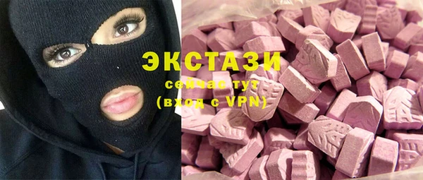 индика Медвежьегорск