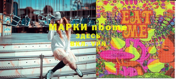индика Медвежьегорск