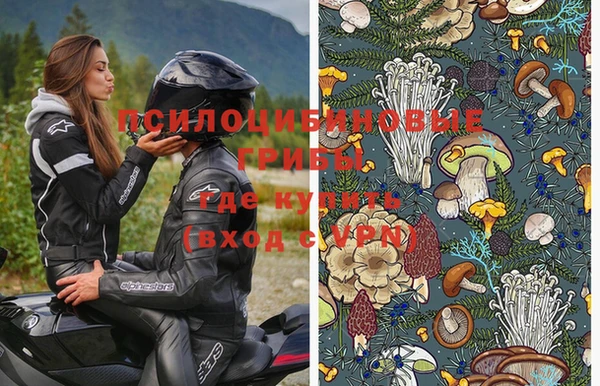 индика Медвежьегорск